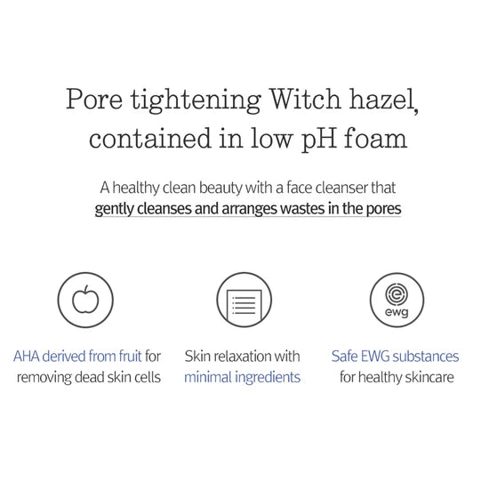 Pyunkang Yul - Low pH Pore Deep Cleansing Foam (100ml)